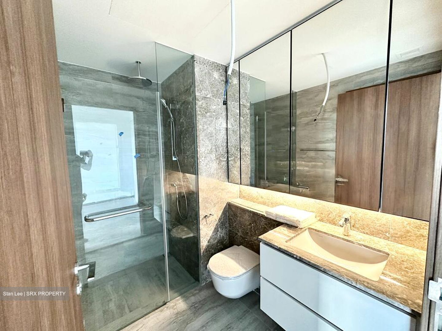 Fourth Avenue Residences (D10), Apartment #527110601